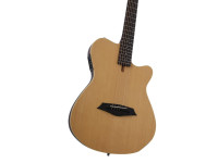 Larry Carlton G5A Natural Larry Carlton G5A Natural